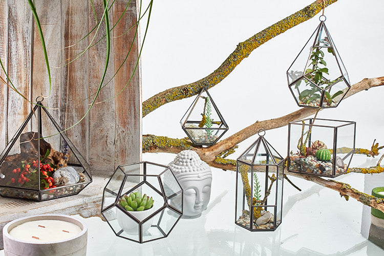 Glass & Brass Terrariums Terrariums Soul Inspired