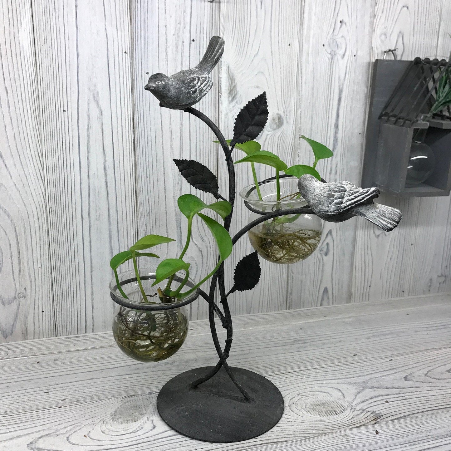 Hydroponic Plant Pots Hydroponic Home Decor Pots Soul Inspired Two Pots and Birds