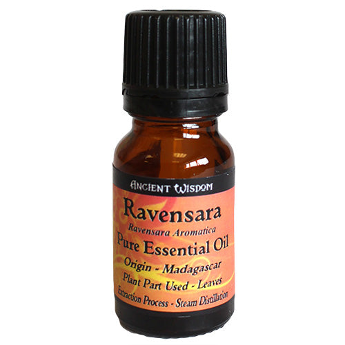 Ravensara 100% Pure Essential Oil Essential Oil Soul Inspired