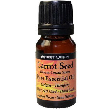 Carrot Seed 100% Pure Essential Oil Essential Oil Soul Inspired 