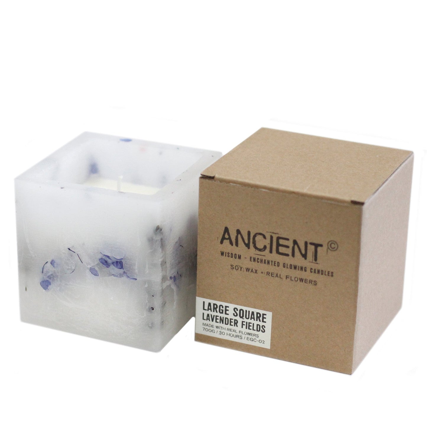 Enchanted Glowing Candles Candles Ancient Wisdom Large Square- Lavender 