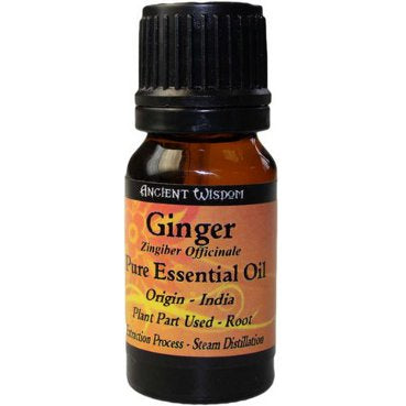 Ginger 100% Pure Essential Oil Essential Oil Soul Inspired Absolute (10ml) 