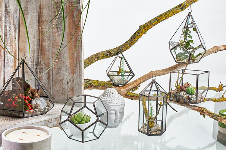 Glass & Brass Terrariums Terrariums Soul Inspired 