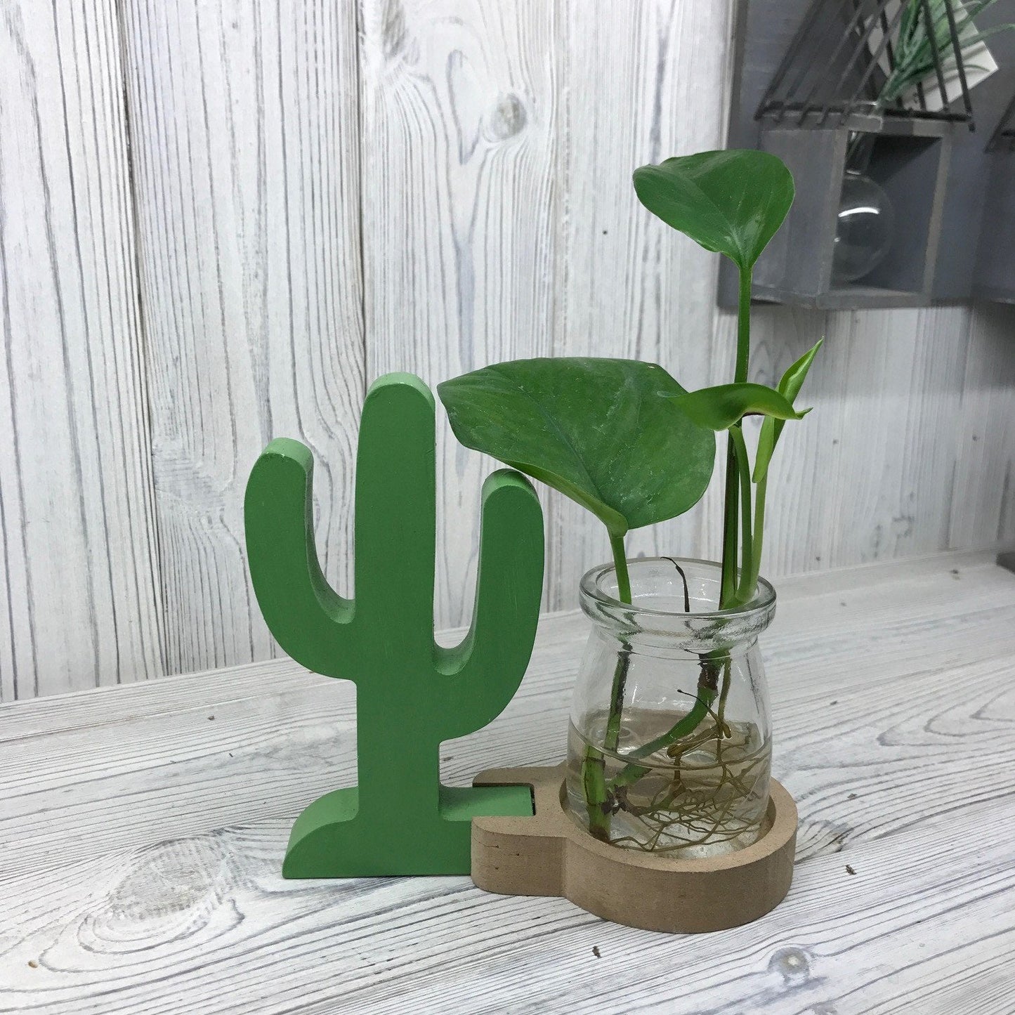 Hydroponic Plant Pots Hydroponic Home Decor Pots Soul Inspired Cactus Pot 