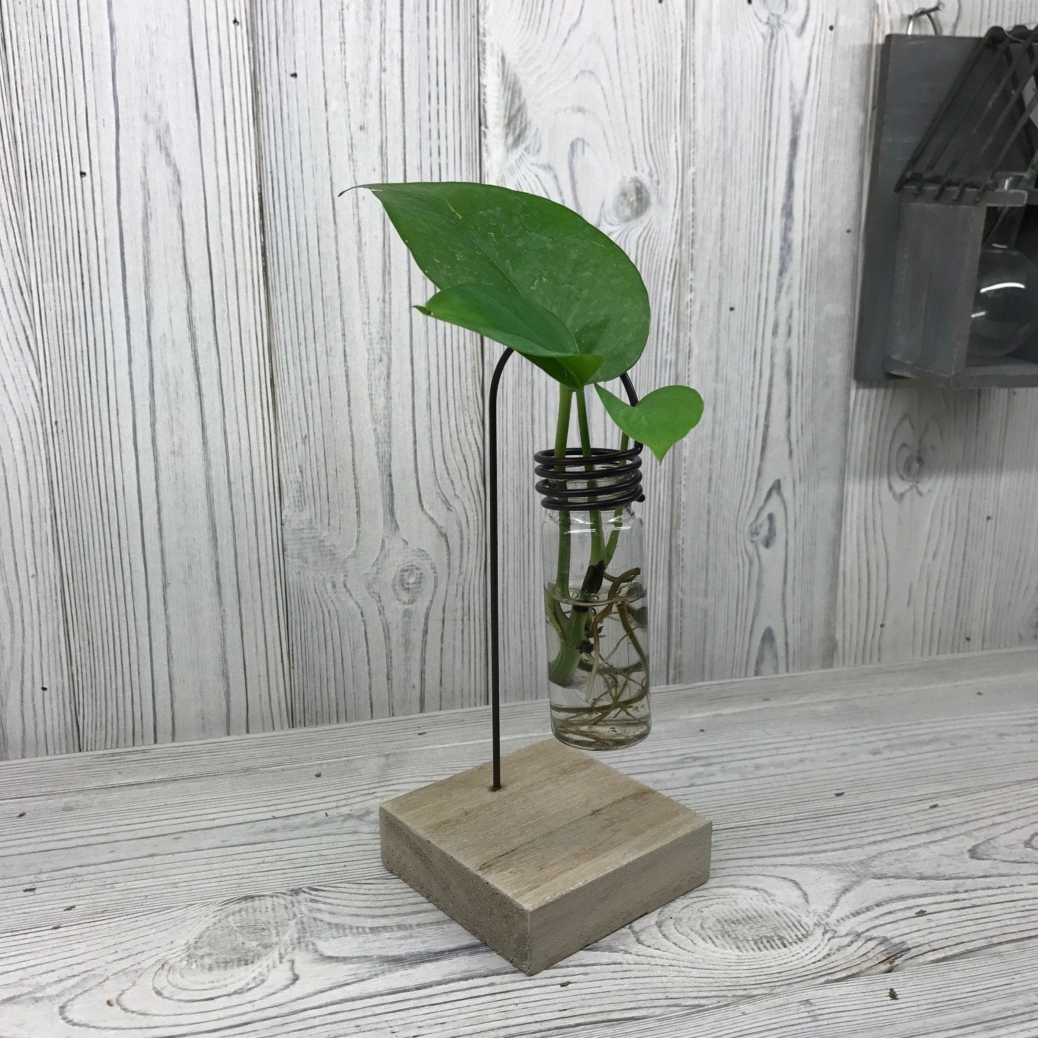 Hydroponic Plant Pots Hydroponic Home Decor Pots Soul Inspired One Lab Pot 