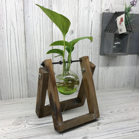 Hydroponic Plant Pots Hydroponic Home Decor Pots Soul Inspired One Pot Wooden Stand 