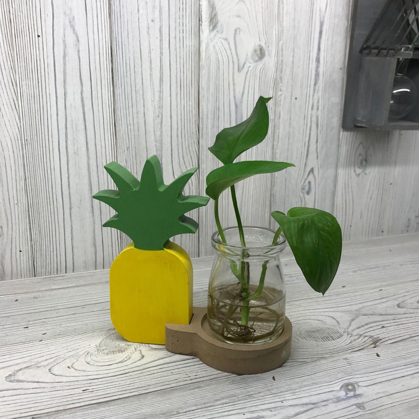 Hydroponic Plant Pots Hydroponic Home Decor Pots Soul Inspired Pineapple Pot 