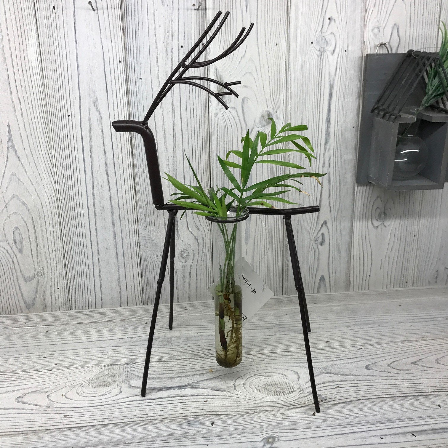 Hydroponic Plant Pots Hydroponic Home Decor Pots Soul Inspired Stag One Pot Stand 