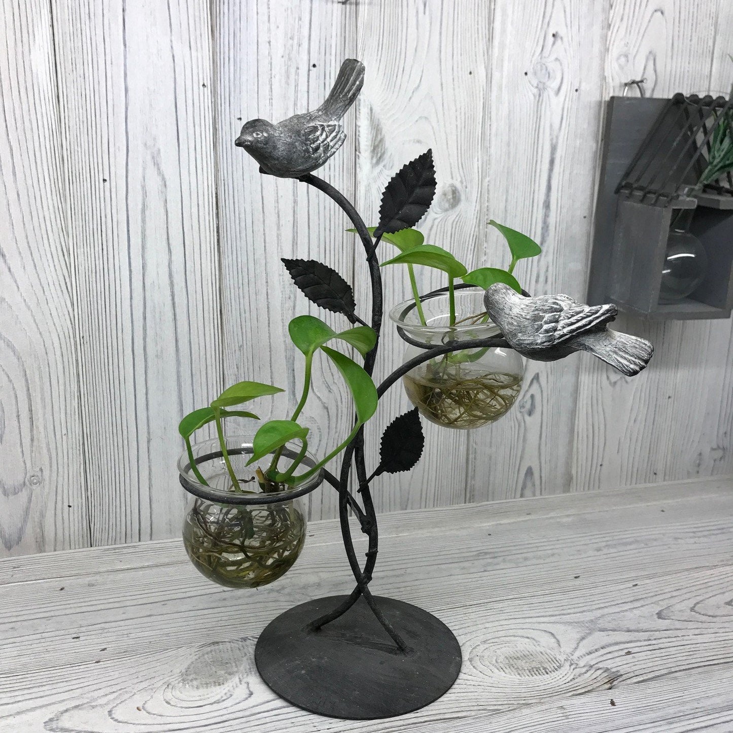 Hydroponic Plant Pots Hydroponic Home Decor Pots Soul Inspired Two Pots and Birds 