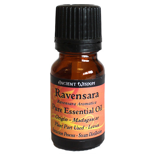 Ravensara 100% Pure Essential Oil Essential Oil Soul Inspired 