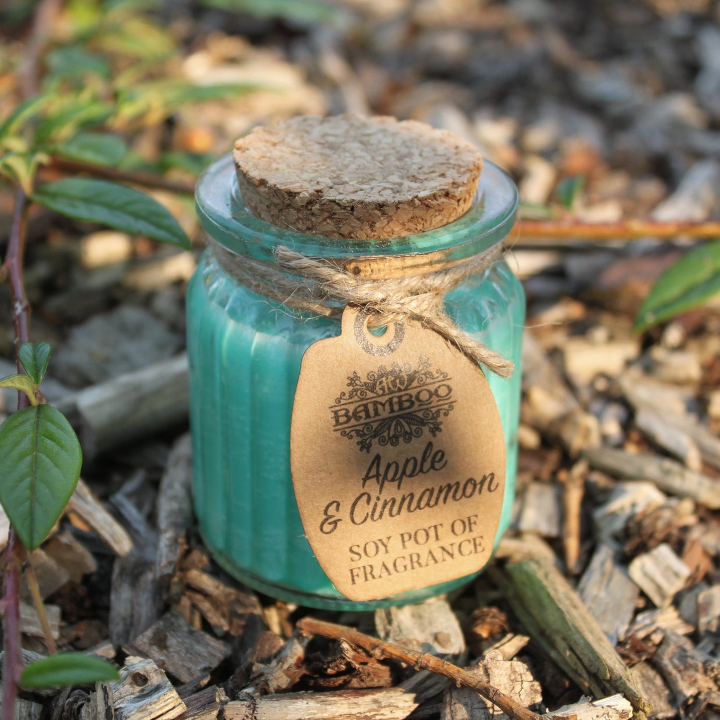 Soya Bean Fragrance Candles - Twin Pack Soy Pot Of Fragrance Candle Soul Inspired Apple & Cinnamon 