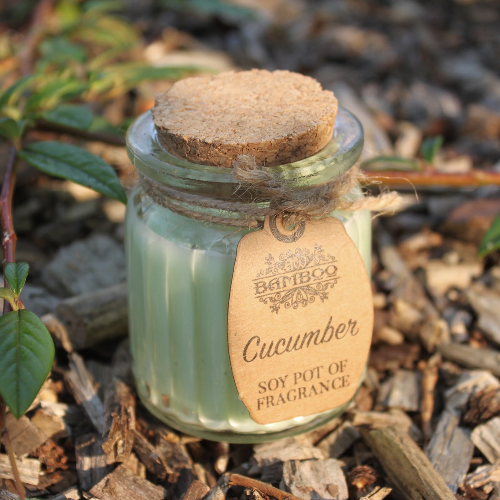 Soya Bean Fragrance Candles - Twin Pack Soy Pot Of Fragrance Candle Soul Inspired Cucumber 
