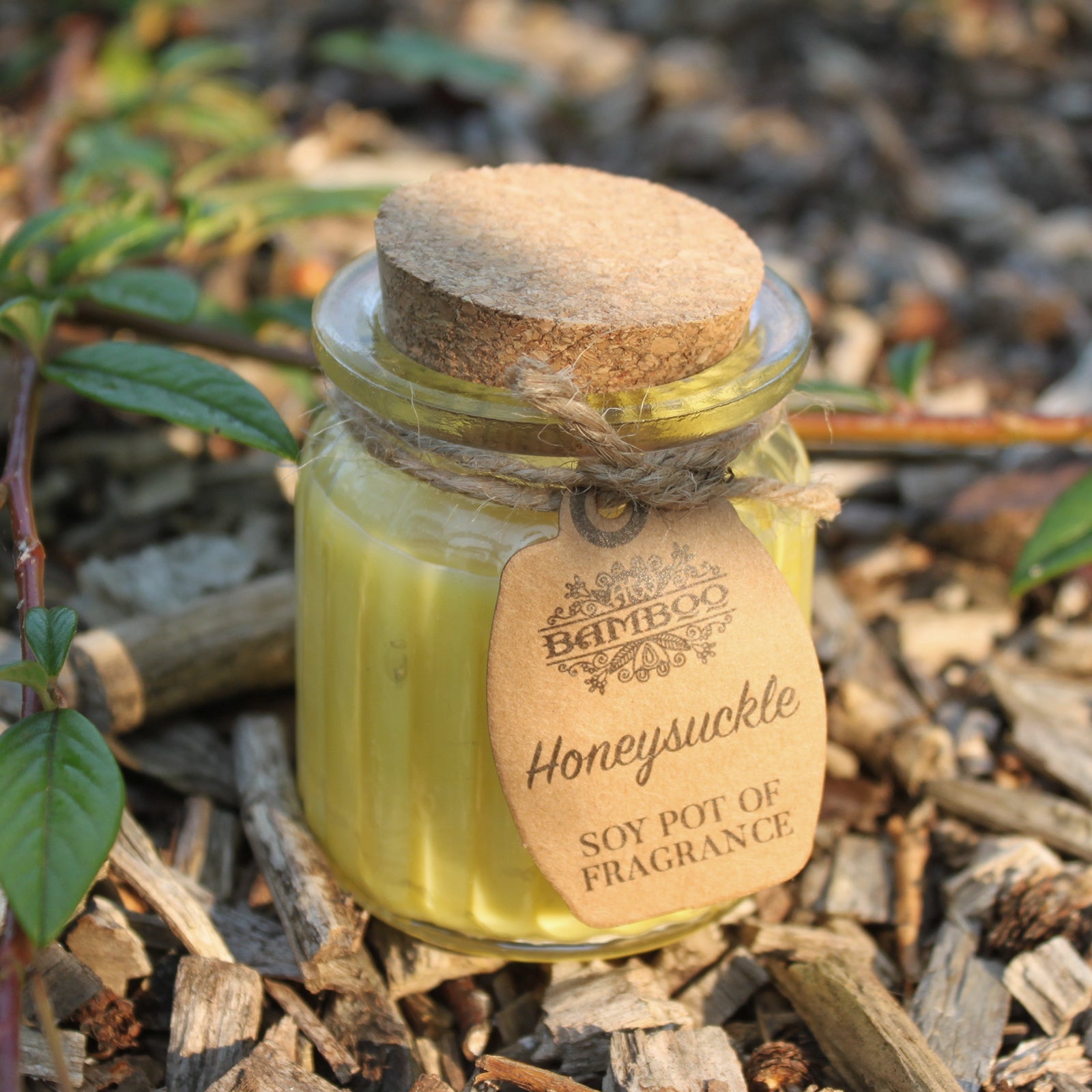 Soya Bean Fragrance Candles - Twin Pack Soy Pot Of Fragrance Candle Soul Inspired Honeysuckle 