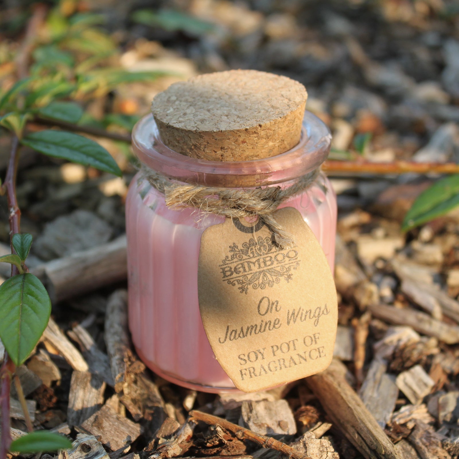Soya Bean Fragrance Candles - Twin Pack Soy Pot Of Fragrance Candle Soul Inspired On Jasmine Wings 