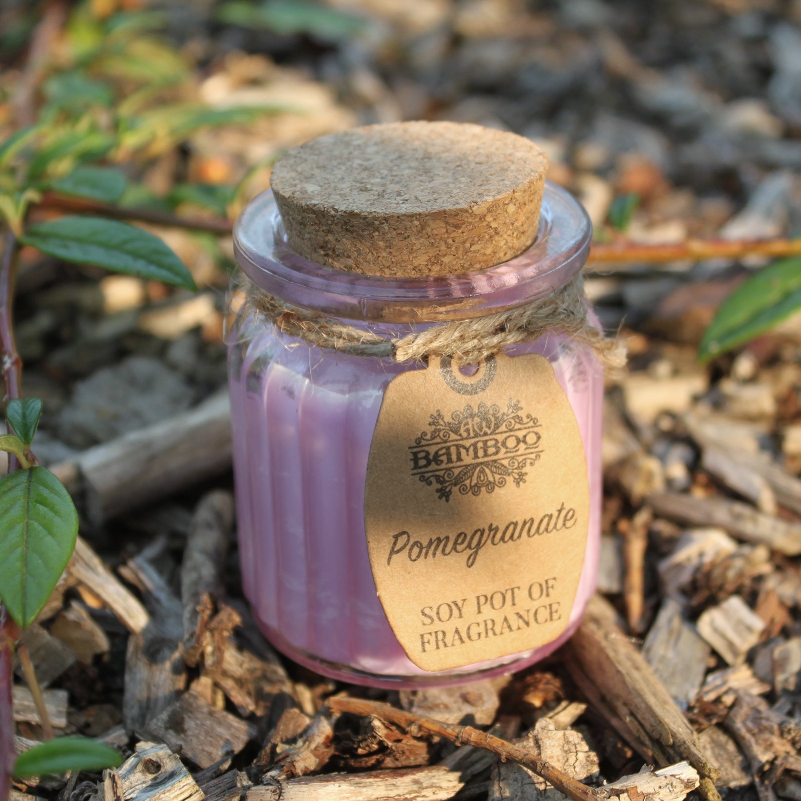 Soya Bean Fragrance Candles - Twin Pack Soy Pot Of Fragrance Candle Soul Inspired Pomegranate 