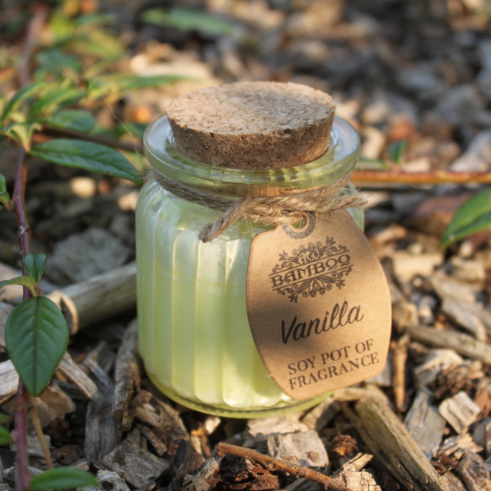Soya Bean Fragrance Candles - Twin Pack Soy Pot Of Fragrance Candle Soul Inspired Vanilla 