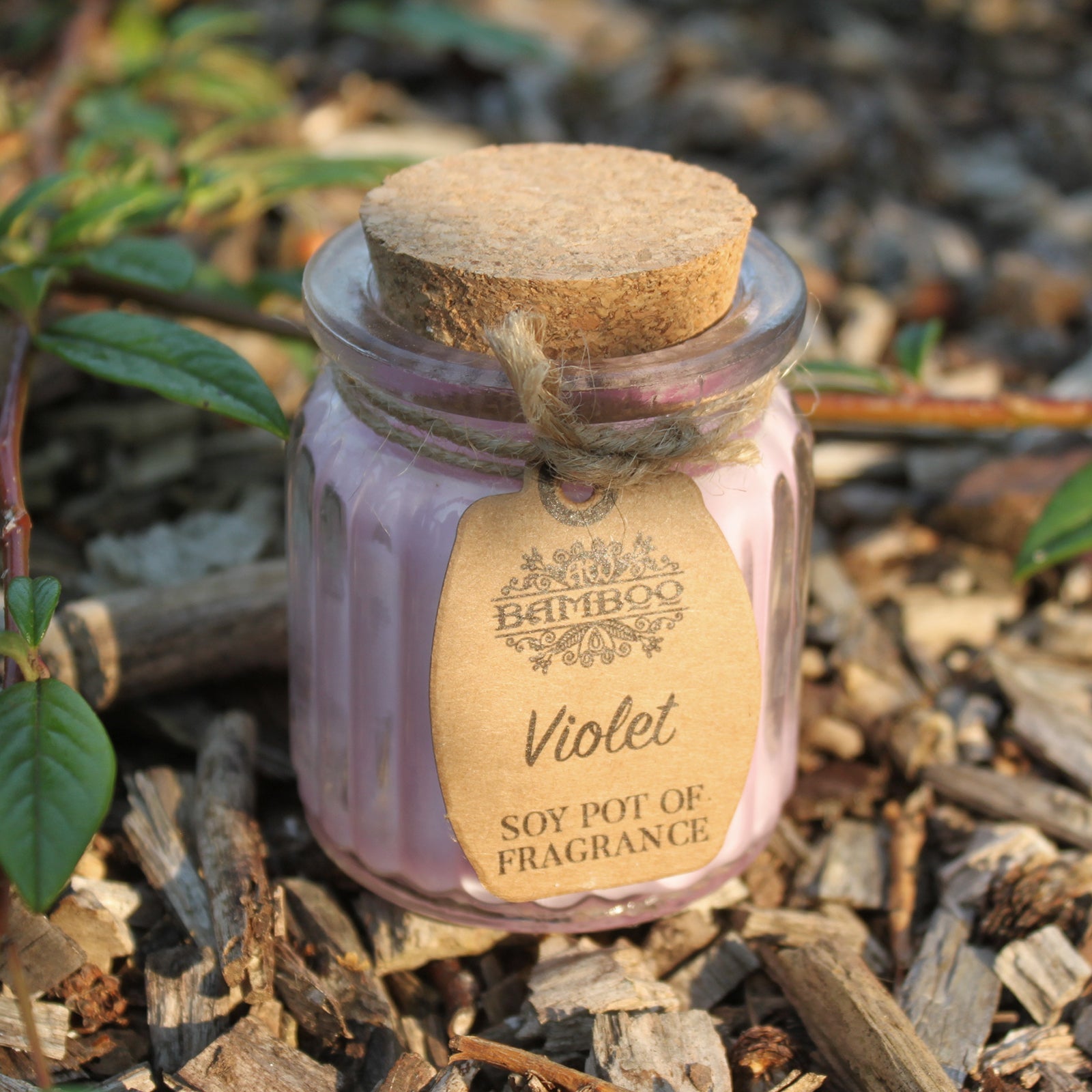 Soya Bean Fragrance Candles - Twin Pack Soy Pot Of Fragrance Candle Soul Inspired Violet 