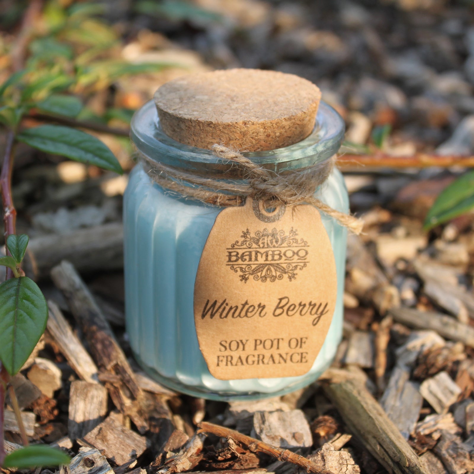 Soya Bean Fragrance Candles - Twin Pack Soy Pot Of Fragrance Candle Soul Inspired Winter Berry 